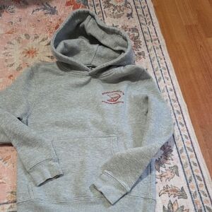 Youth Ninja Turtle Gray Hoodie Sweater
